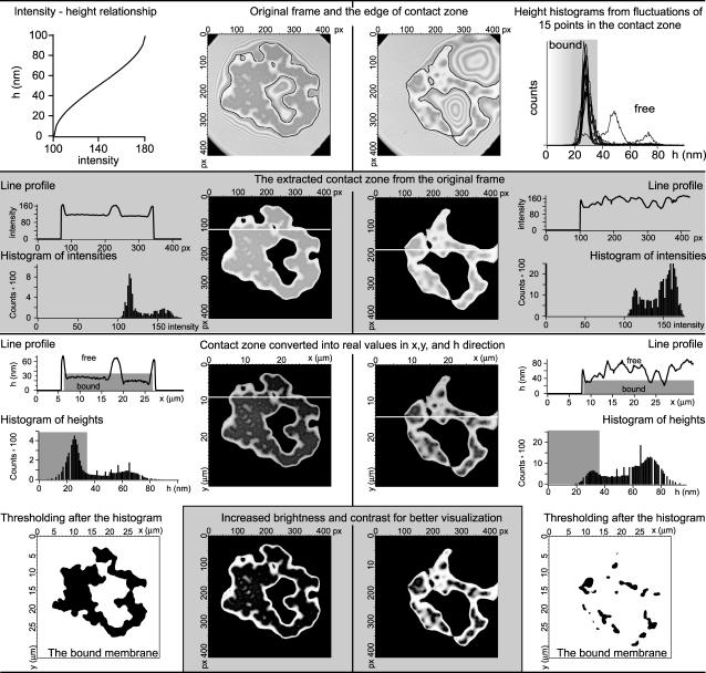 FIGURE 12