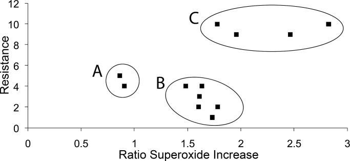 FIGURE 5: