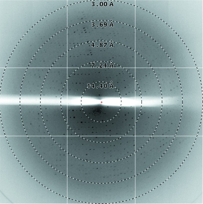 Figure 3