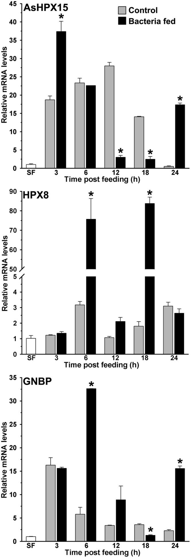 FIGURE 2