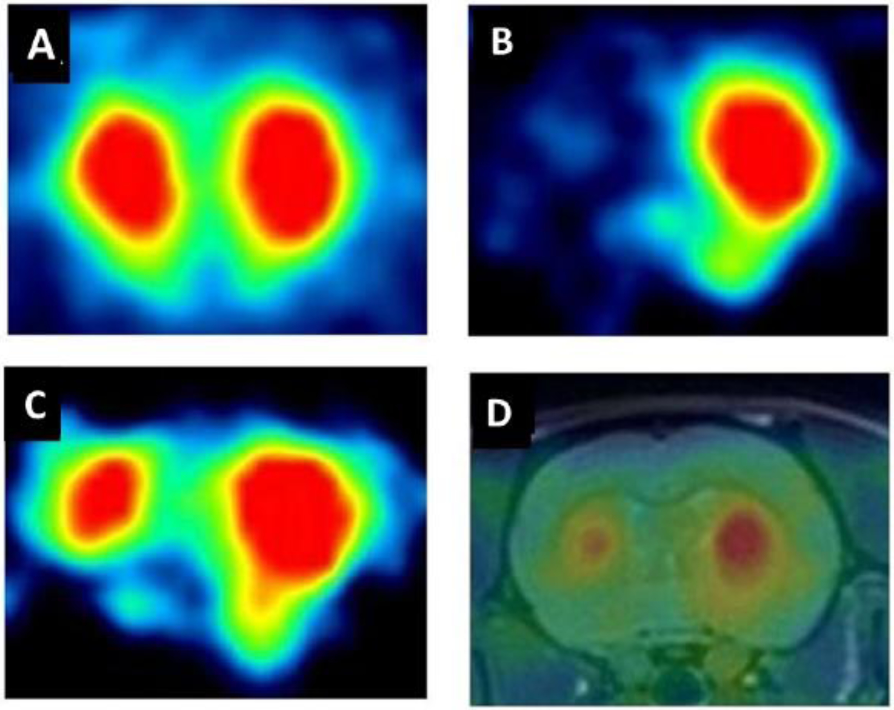 Figure 3: