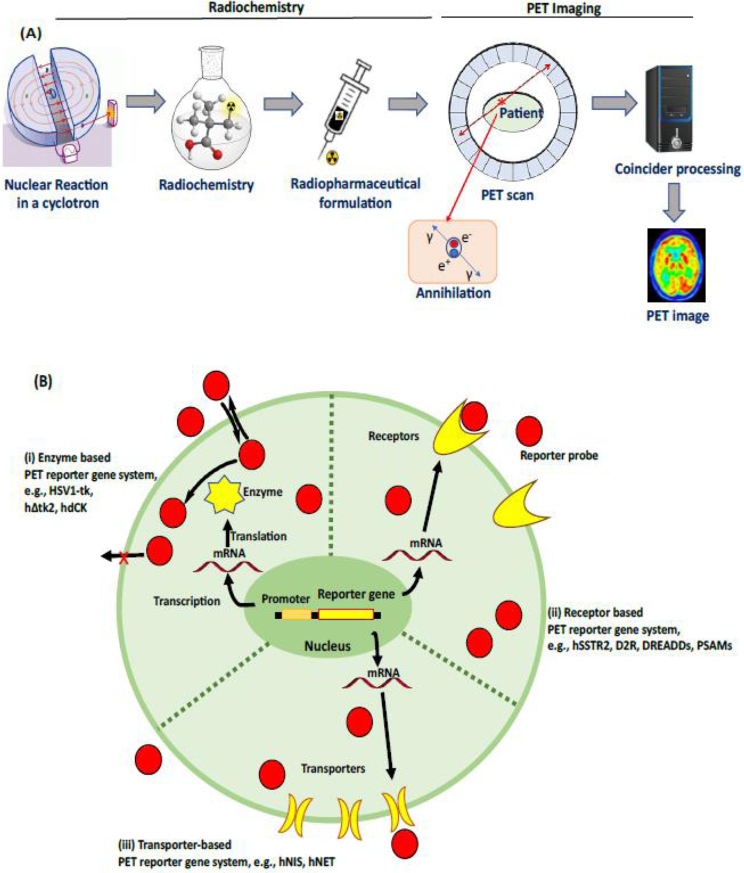 Figure 1: