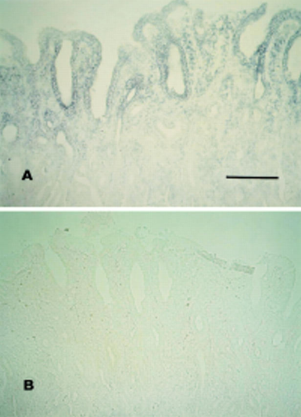 Figure 4  