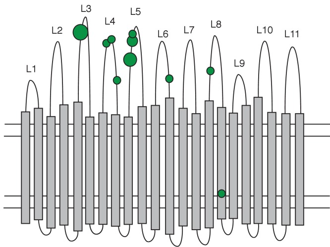 Figure 6.