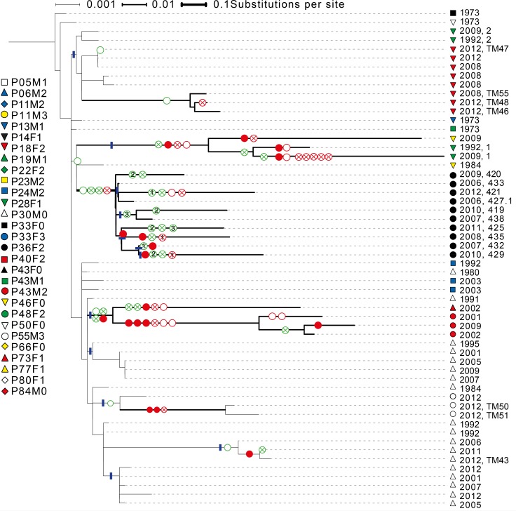 Appendix 1—figure 3.