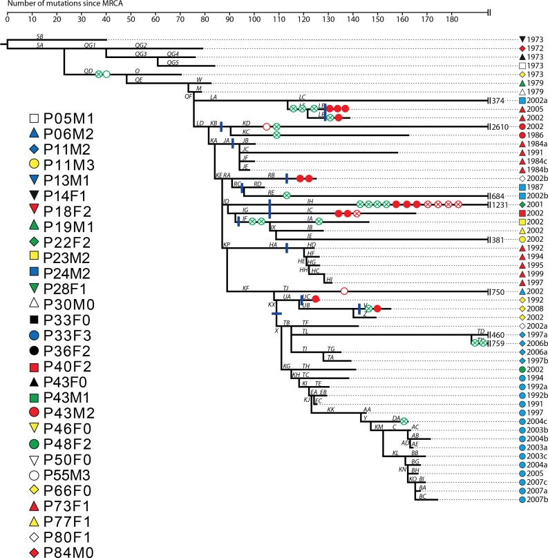 Appendix 1—figure 4.