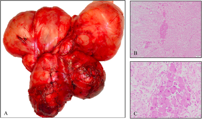 Fig. 3