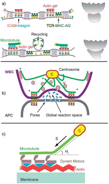 Fig. 11