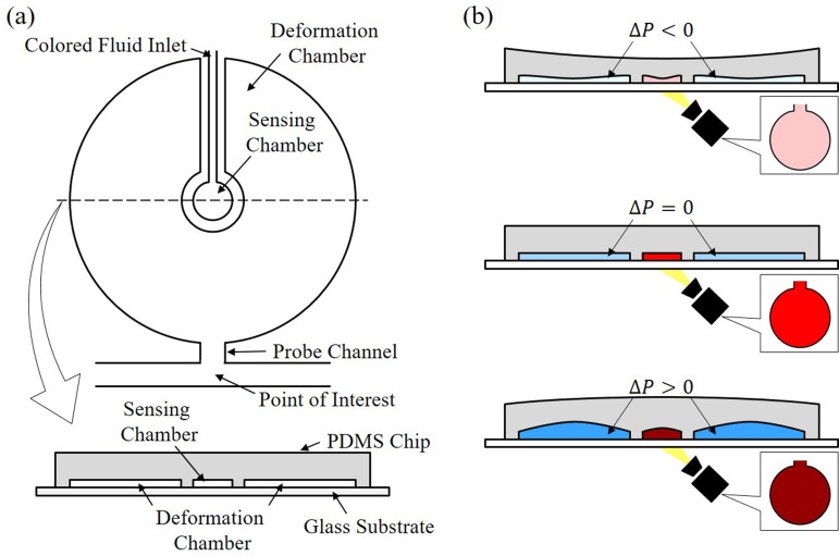 FIG. 1.