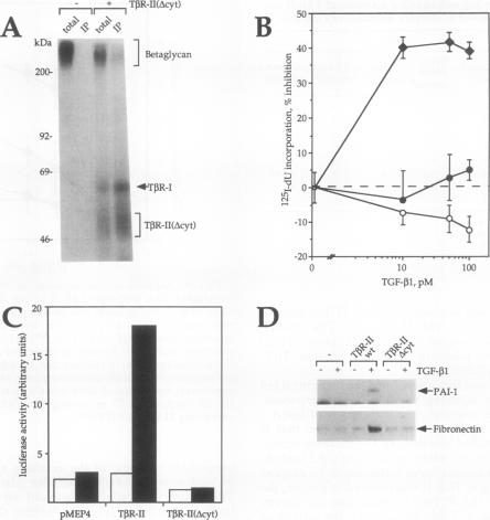 graphic file with name molcellb00024-0056-a.jpg