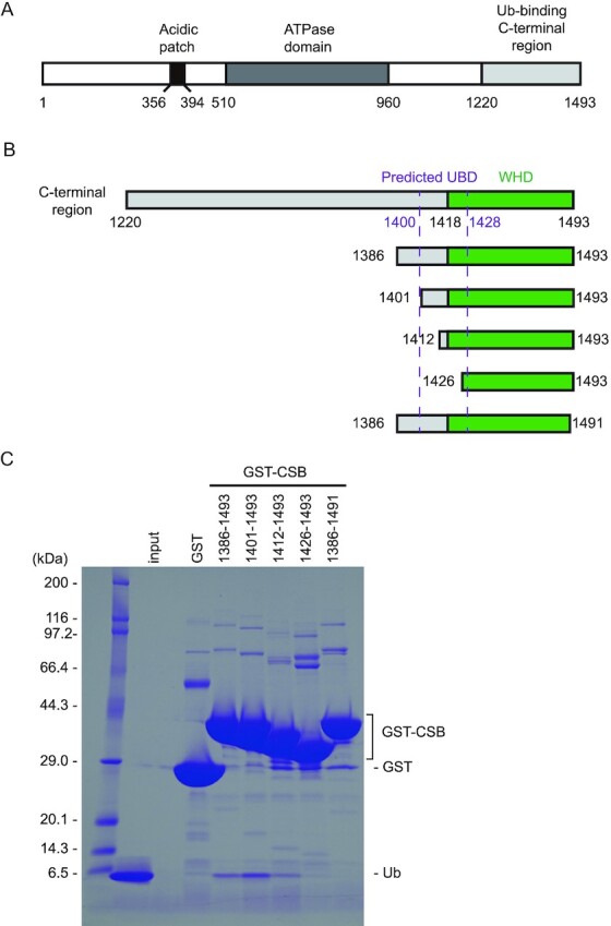 Figure 1.