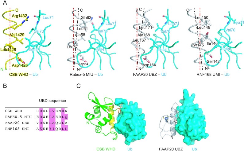 Figure 6.