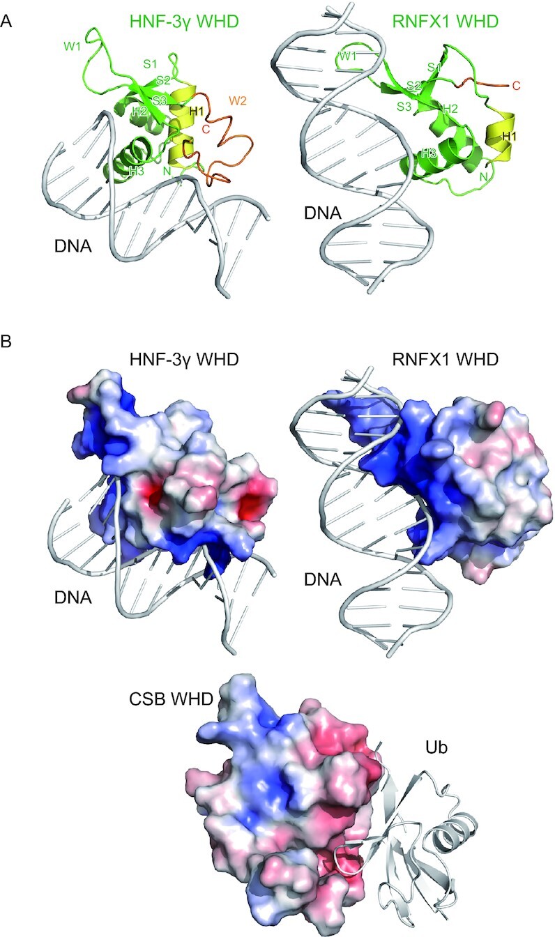 Figure 7.