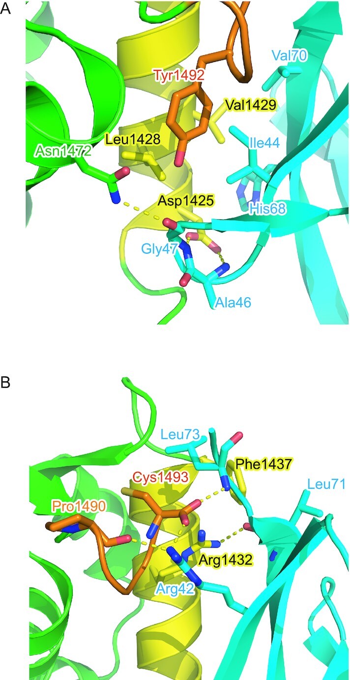 Figure 4.