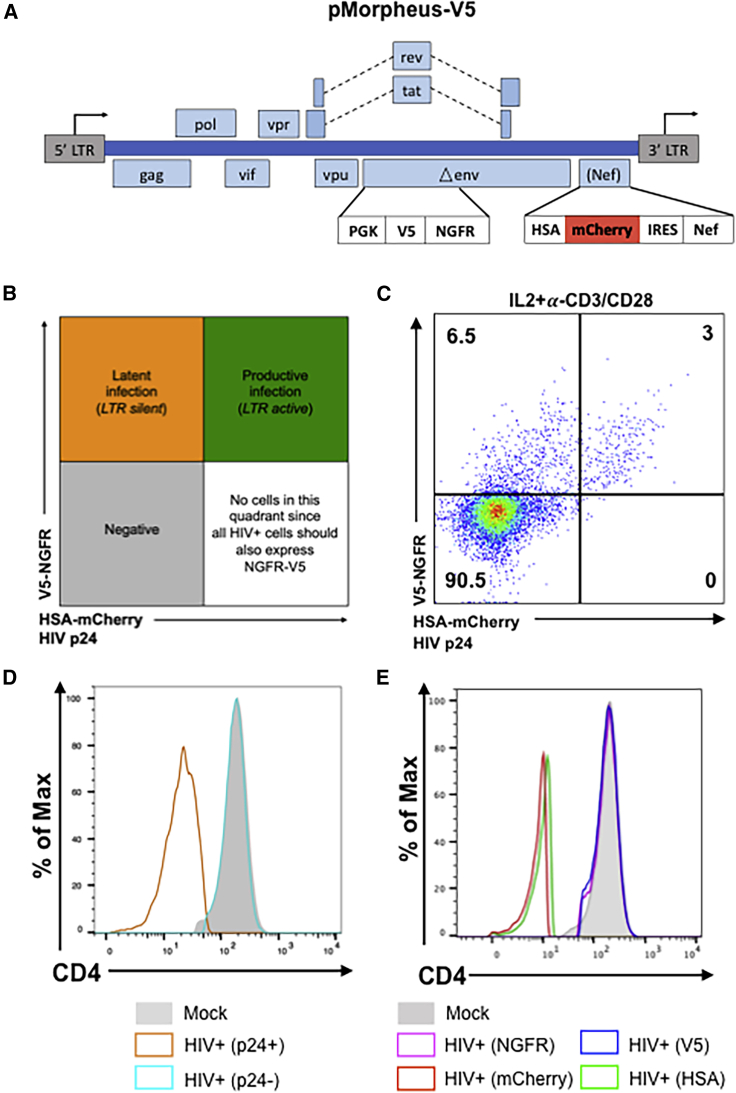 Figure 1