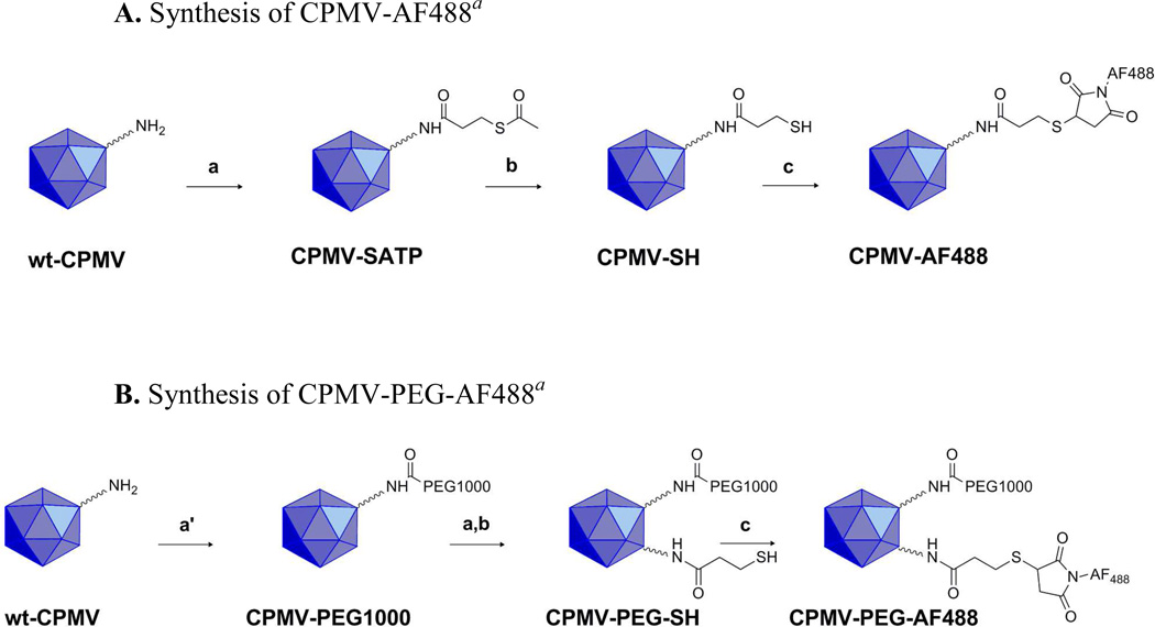 Scheme 1