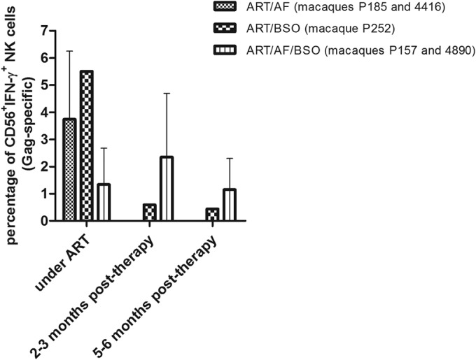 FIG 6