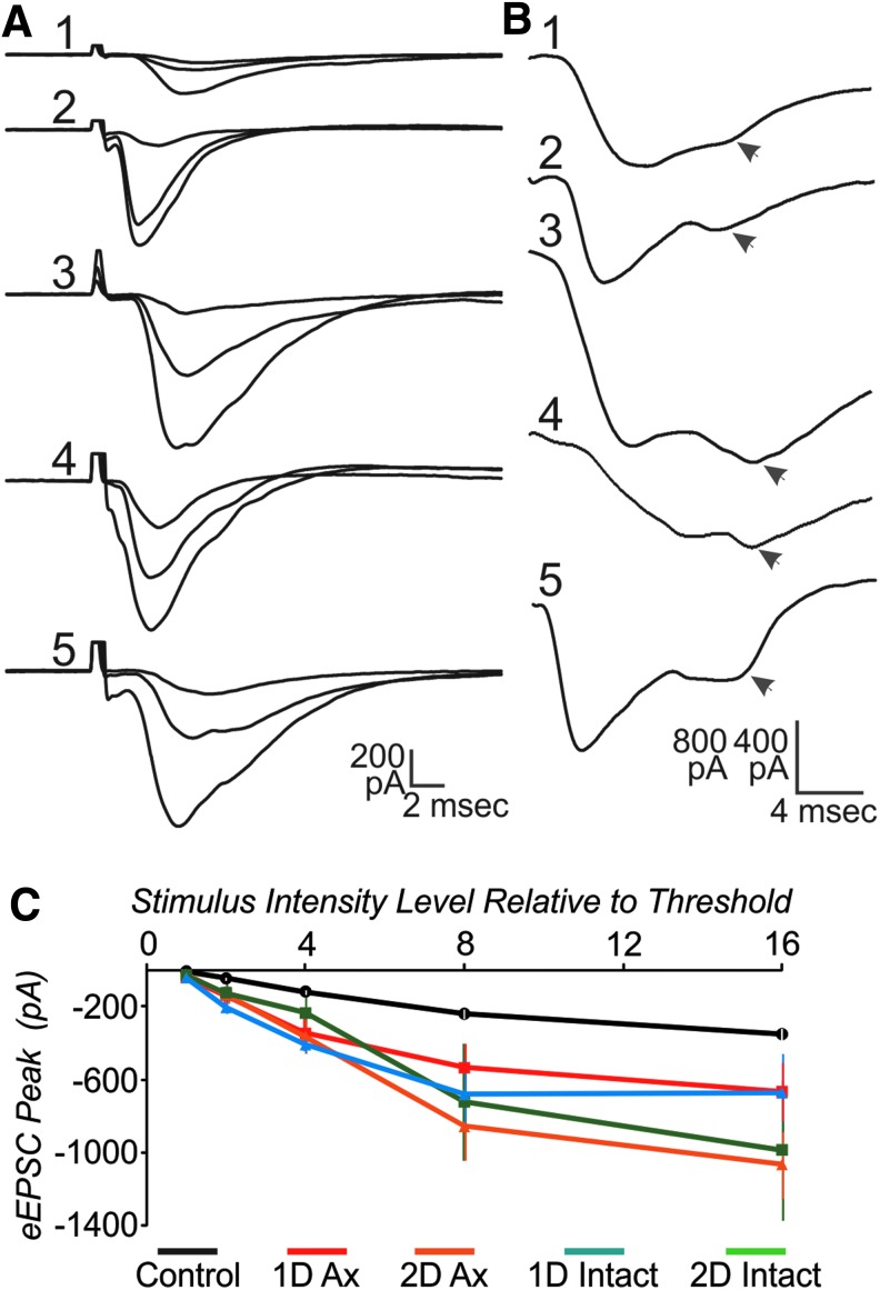 FIG. 4.