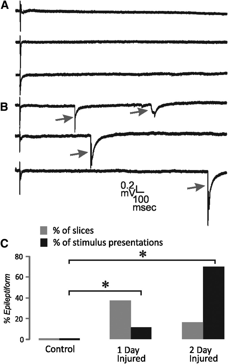 FIG. 7.