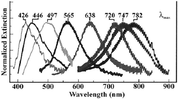 Figure 9