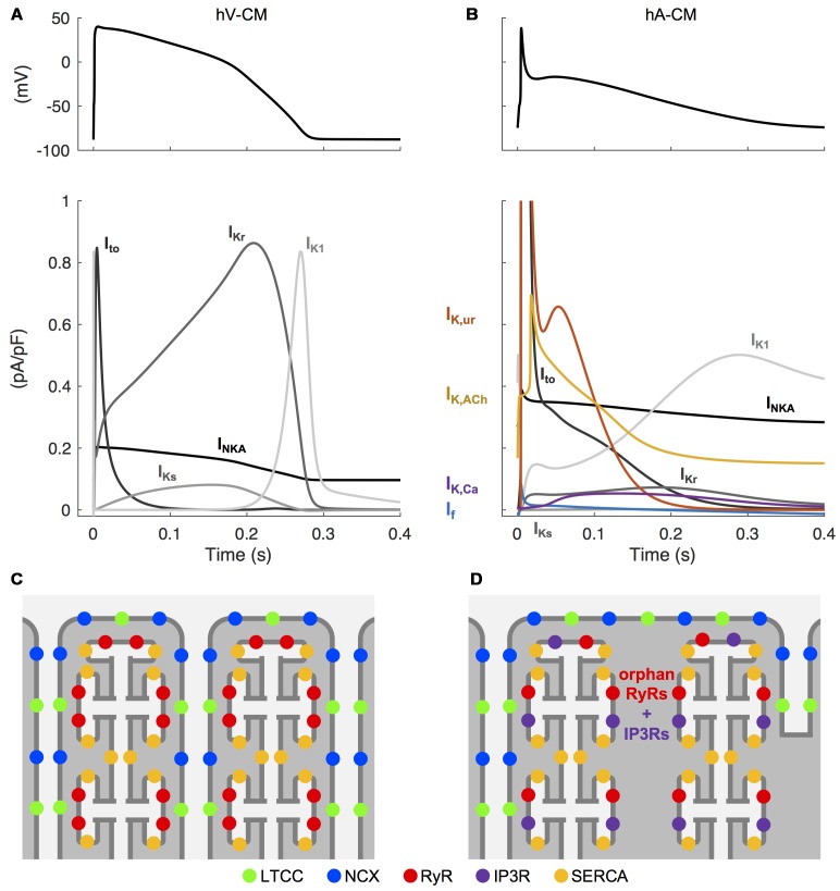 FIGURE 2