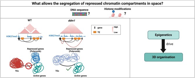 Graphical Abstract