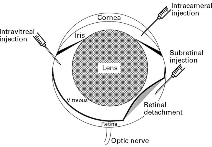 Figure 1  