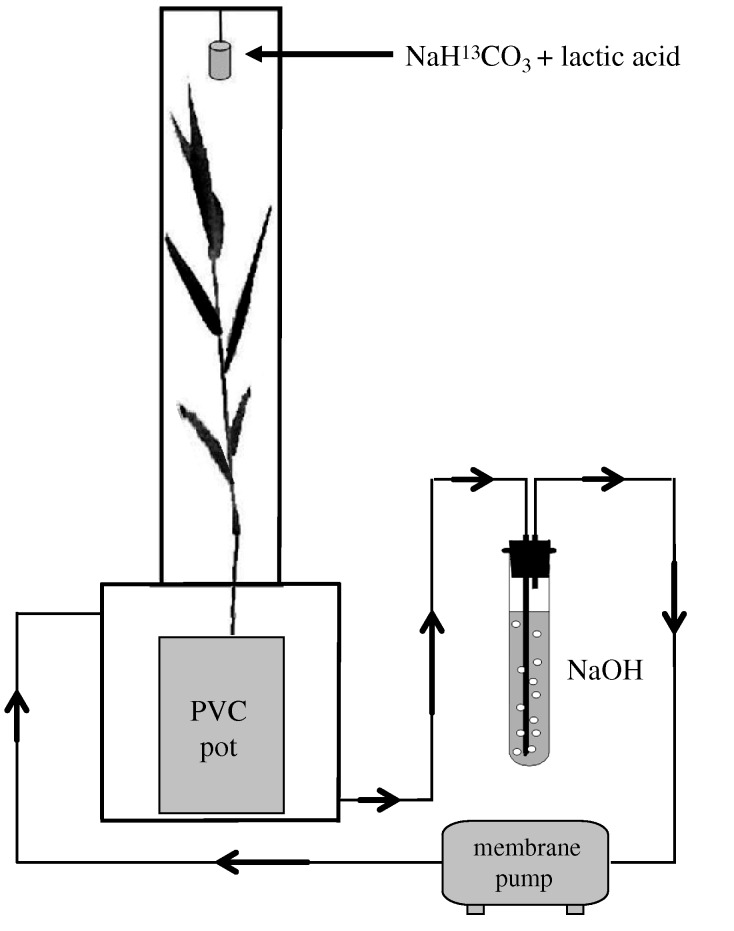 Figure 1.