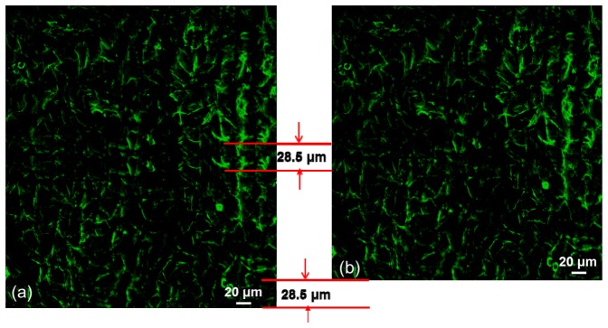 Fig. 11