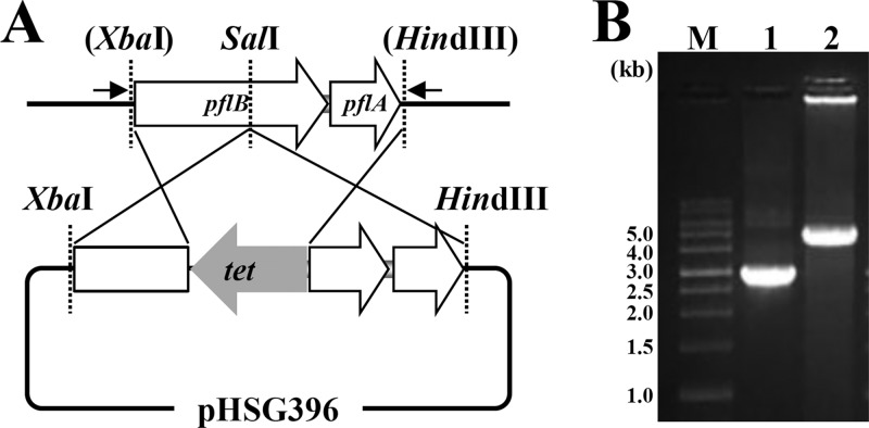 FIG 1