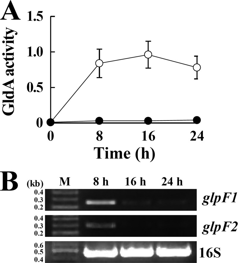 FIG 8