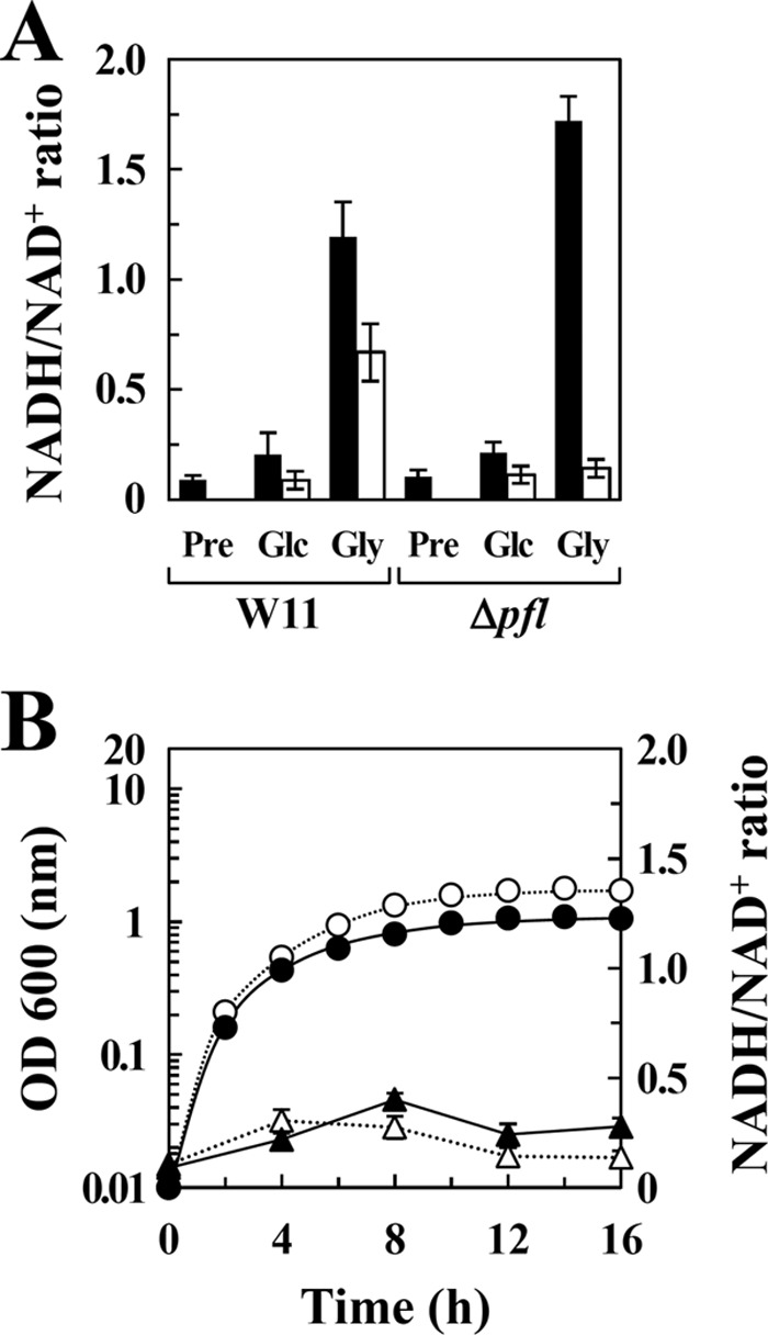 FIG 5