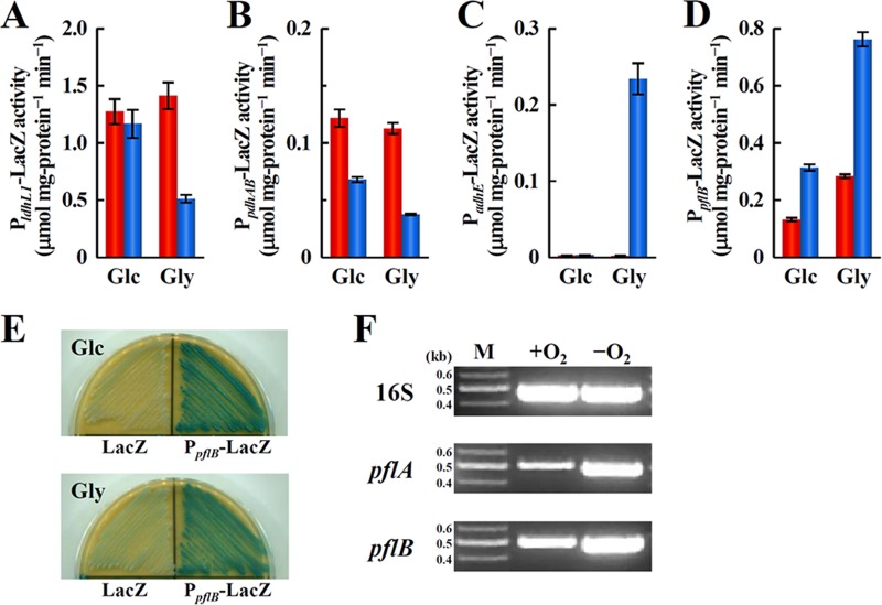 FIG 3