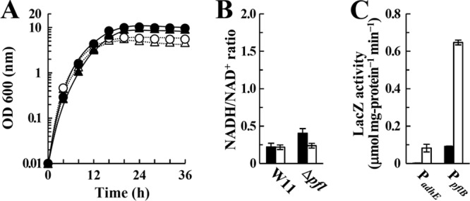 FIG 6