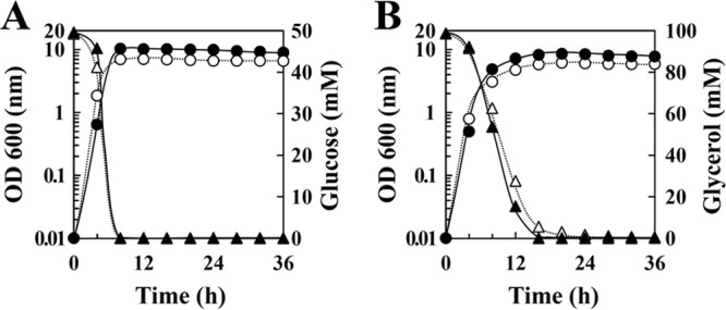 FIG 2