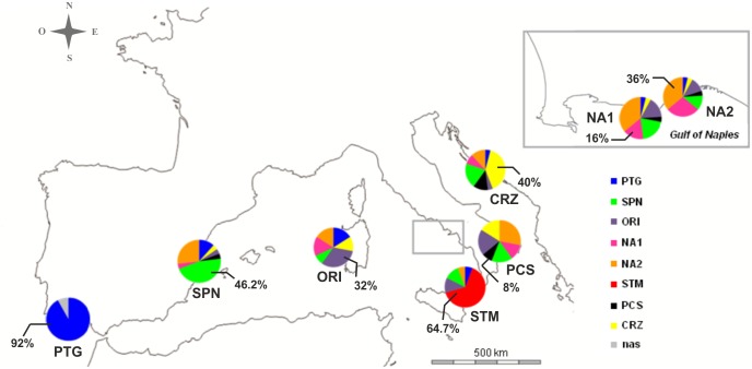 Fig 3