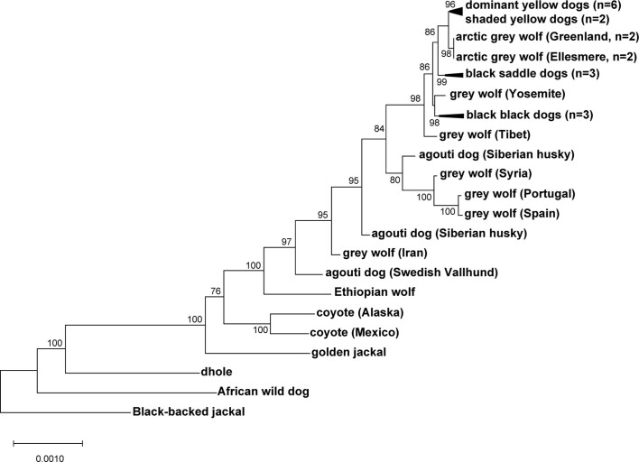 Extended Data Fig. 3