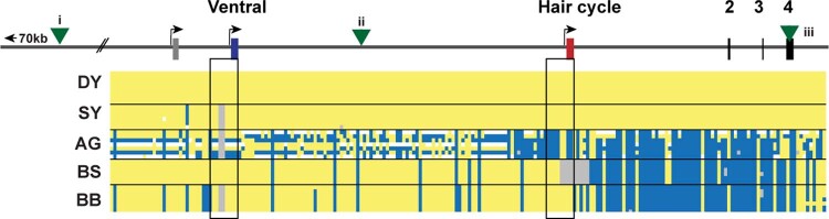 Extended Data Fig. 2