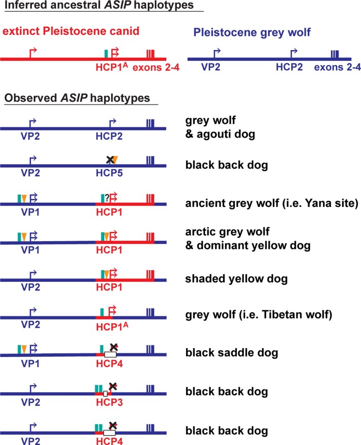 Extended Data Fig. 7