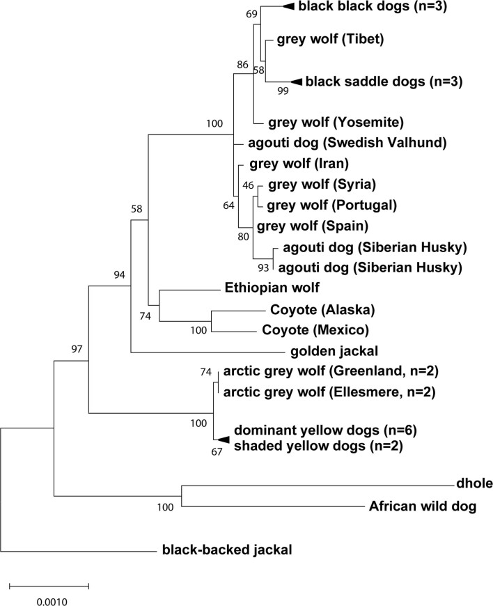 Extended Data Fig. 4