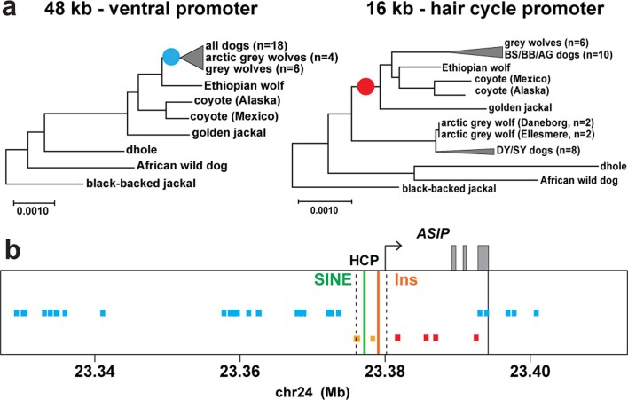 Extended Data Fig. 5