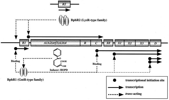 FIG. 6.