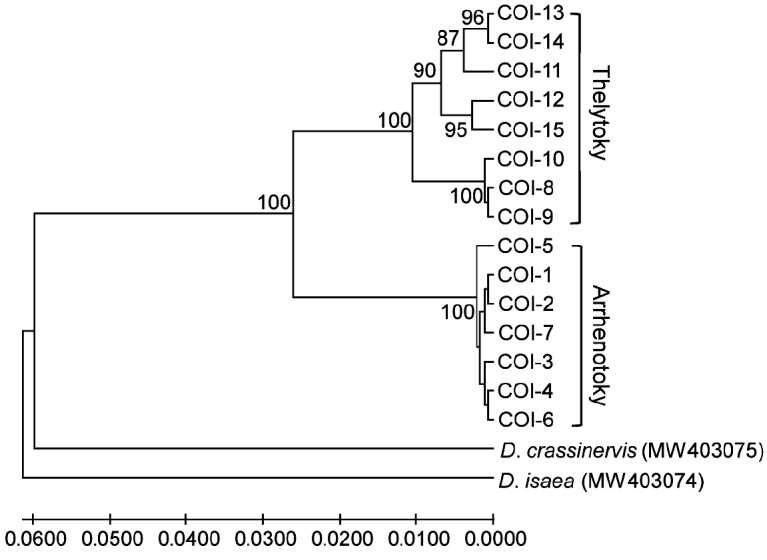 Figure 3.