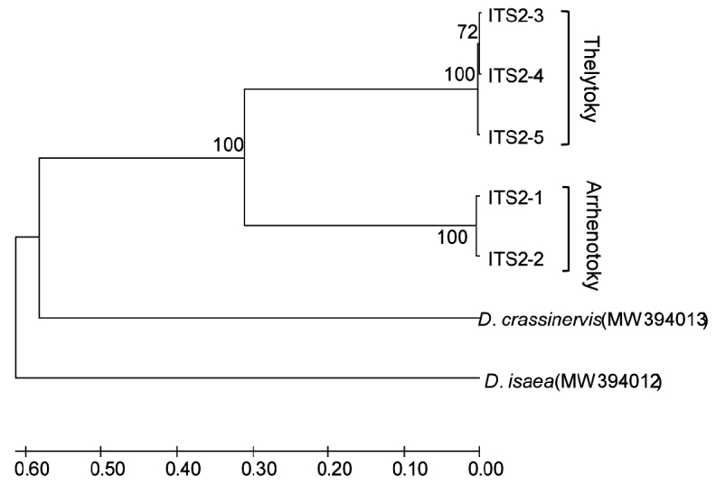 Figure 5.