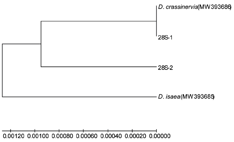 Figure 6.