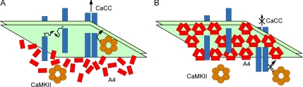 Figure 9.