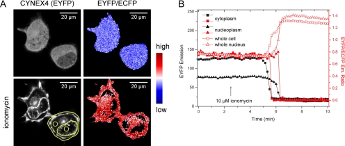 Figure 3.