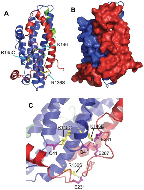 Figure 9