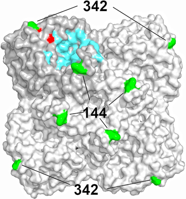 FIG 6