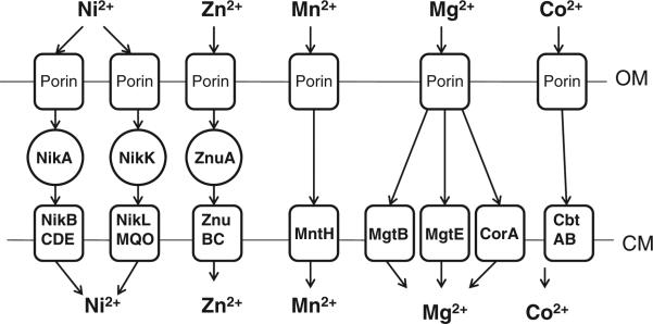 Fig. 2